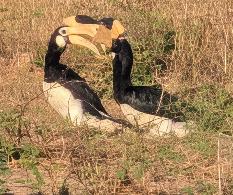 猎豹营舍-亚拉游猎营舍主图