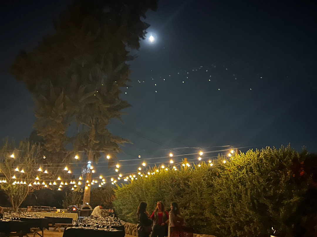 Cuatro Almas Wines-Buin必去景点