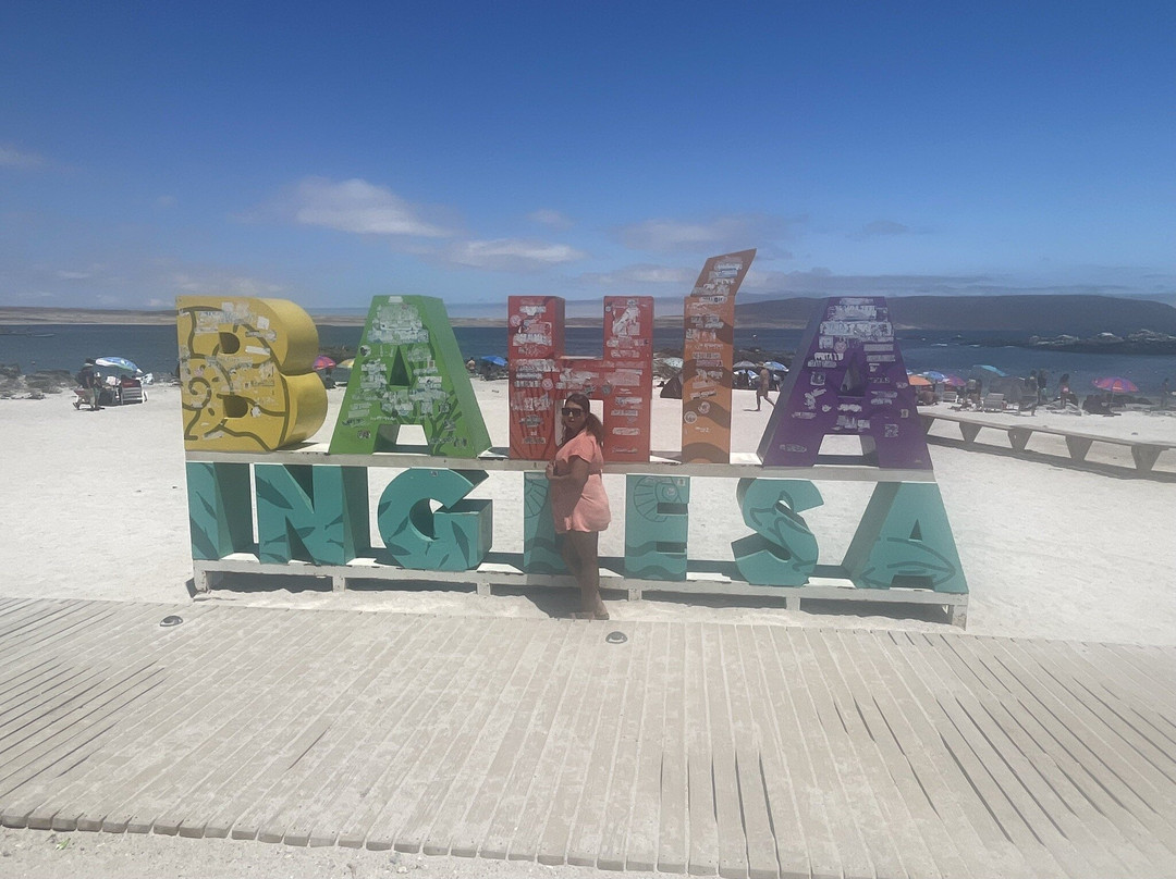 Bahia Inglesa-Copiapo必去景点