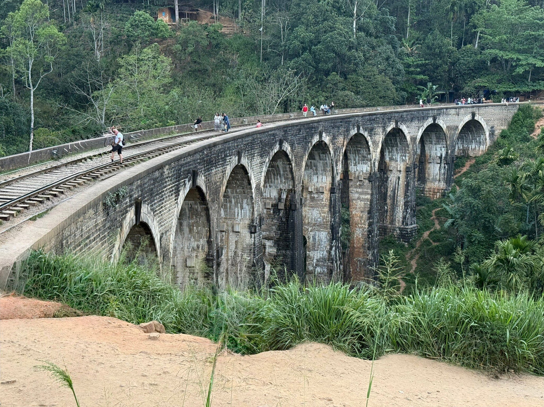 Green Island Tours-拜蒂克洛必去景点
