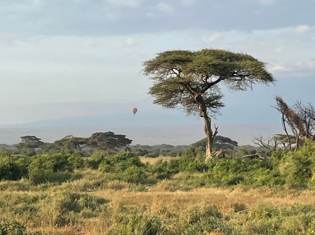 Marhaba Holidays-内罗毕必去景点