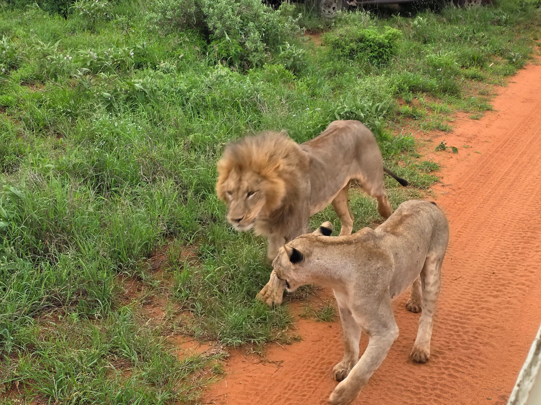 Enjoy Collection Tours and Safaris-马林地必去景点