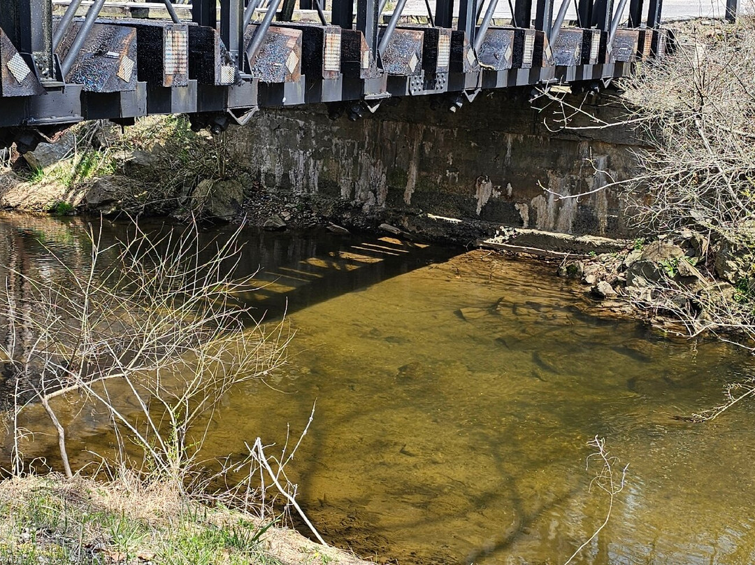 Glen Rock Truss Bridge-Glen Rock必去景点