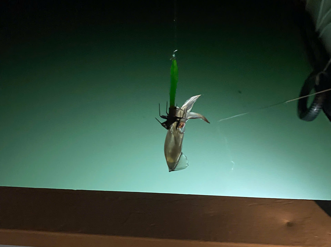 Arcady Boutique Cruise-团洲岛必去景点