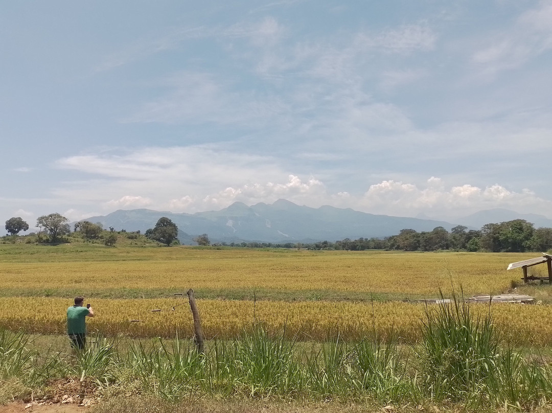 Mountlanka Tours-康提必去景点
