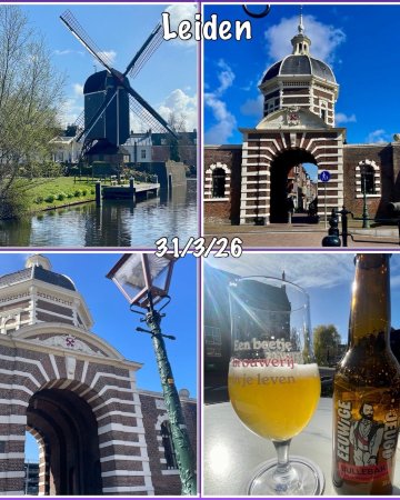 宜必思莱顿中心酒店-官方