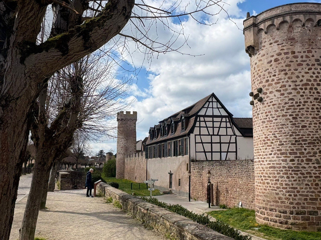 Parcours Historique d'Obernai-奥贝奈必去景点