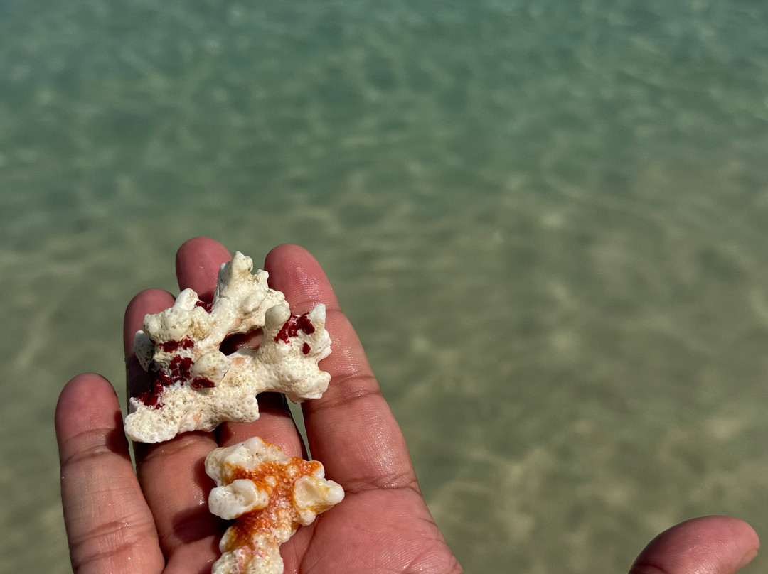 Jolly Buoy Island-Manjery必去景点