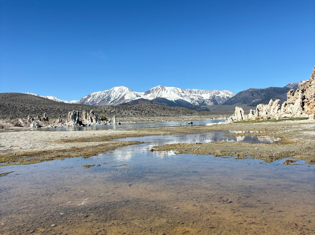 Mono Lake Tufa State Natural Reserve-利韦宁必去景点