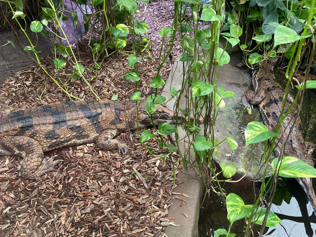 Krokodille Zoo-Eskilstrup必去景点