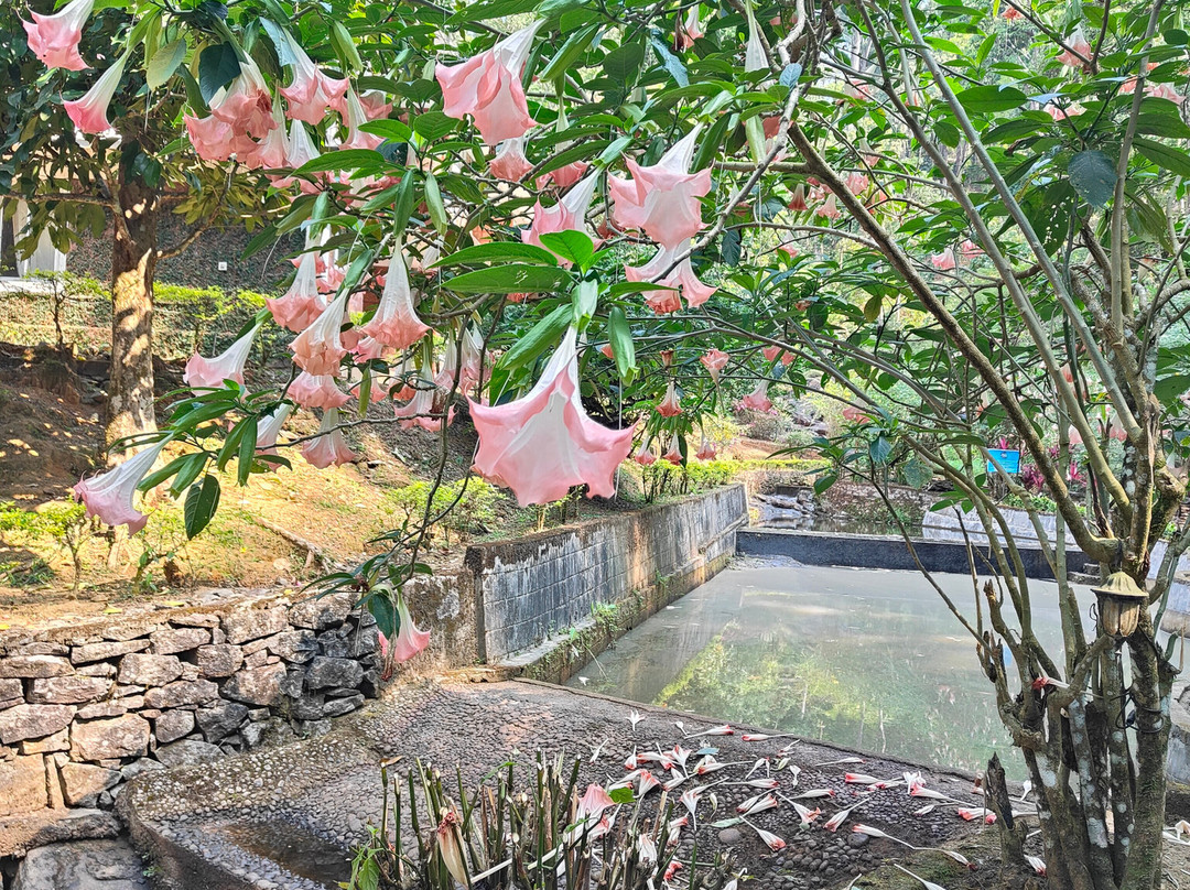 落水度假村主图