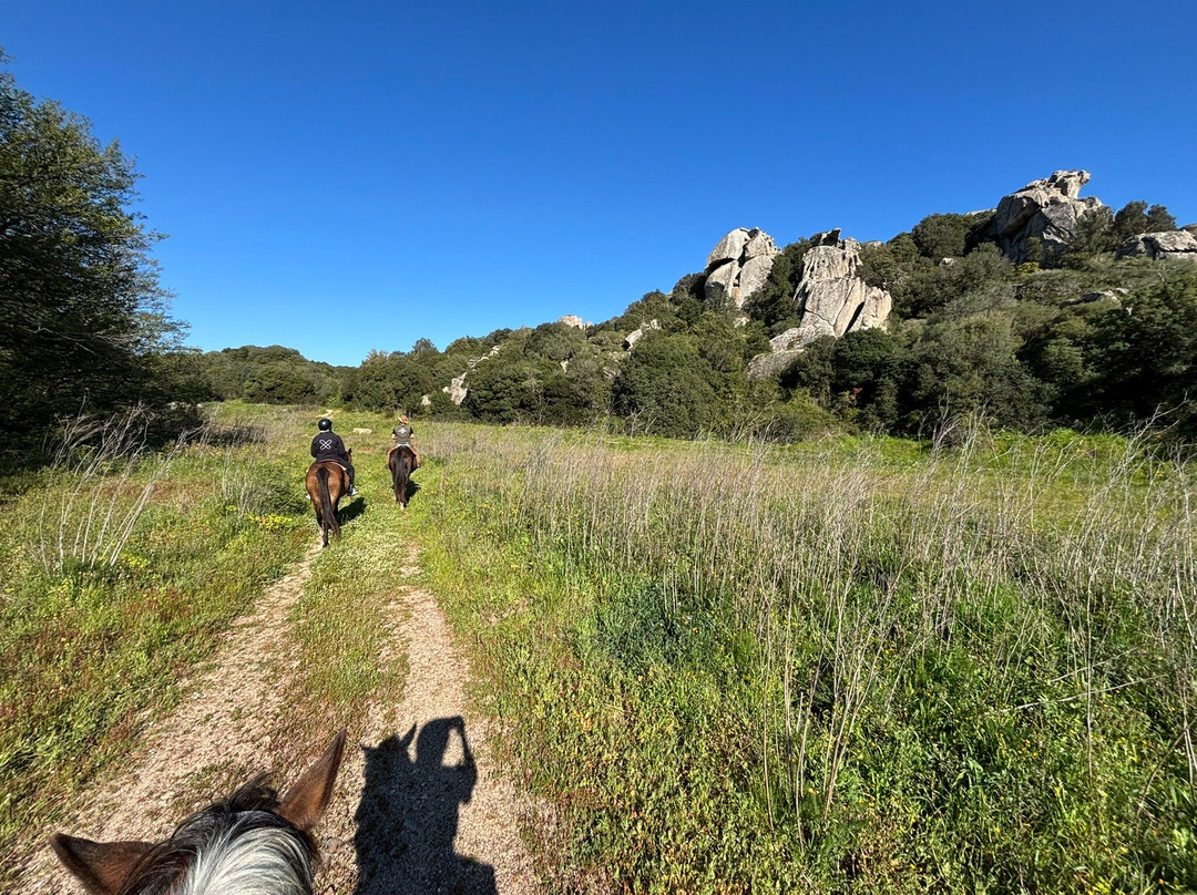 Centro Equestre La Prugnola-Arzachena必去景点