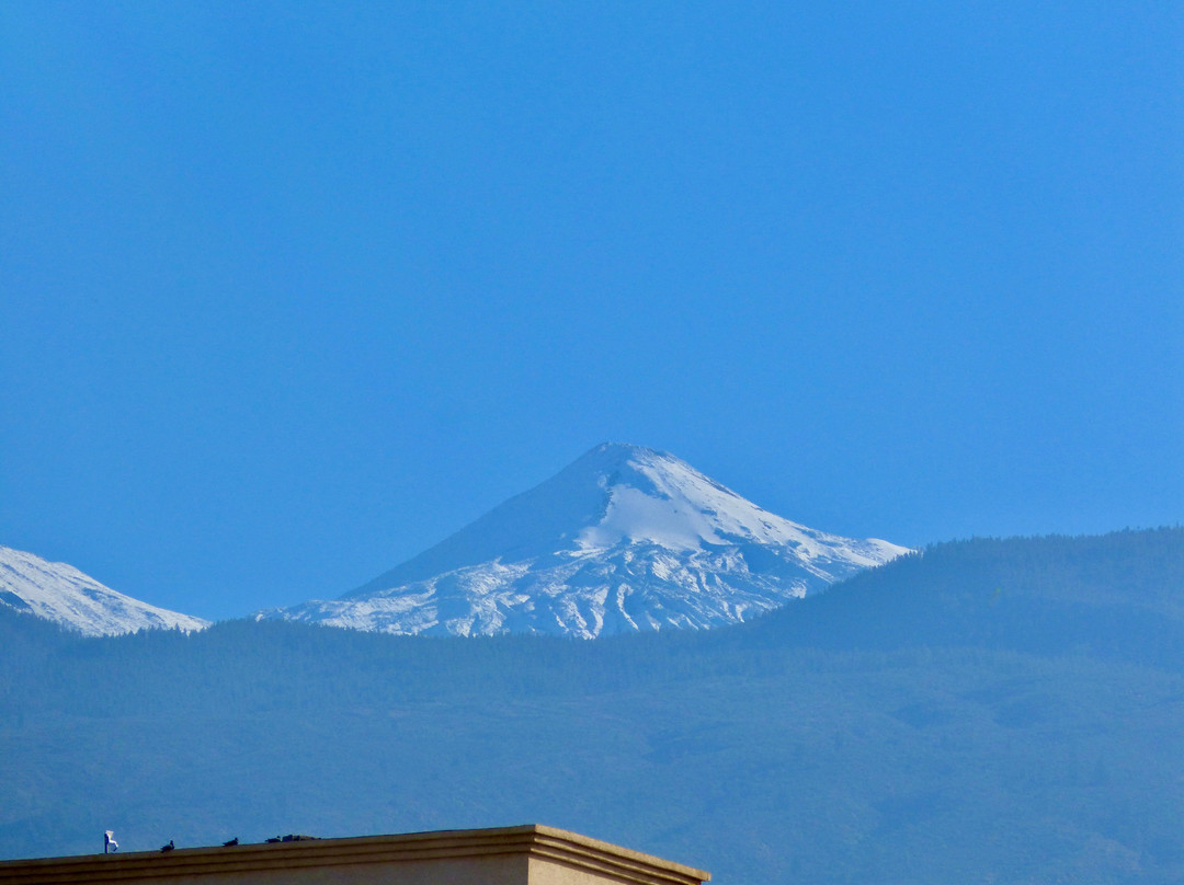 大西洋假日酒店主图