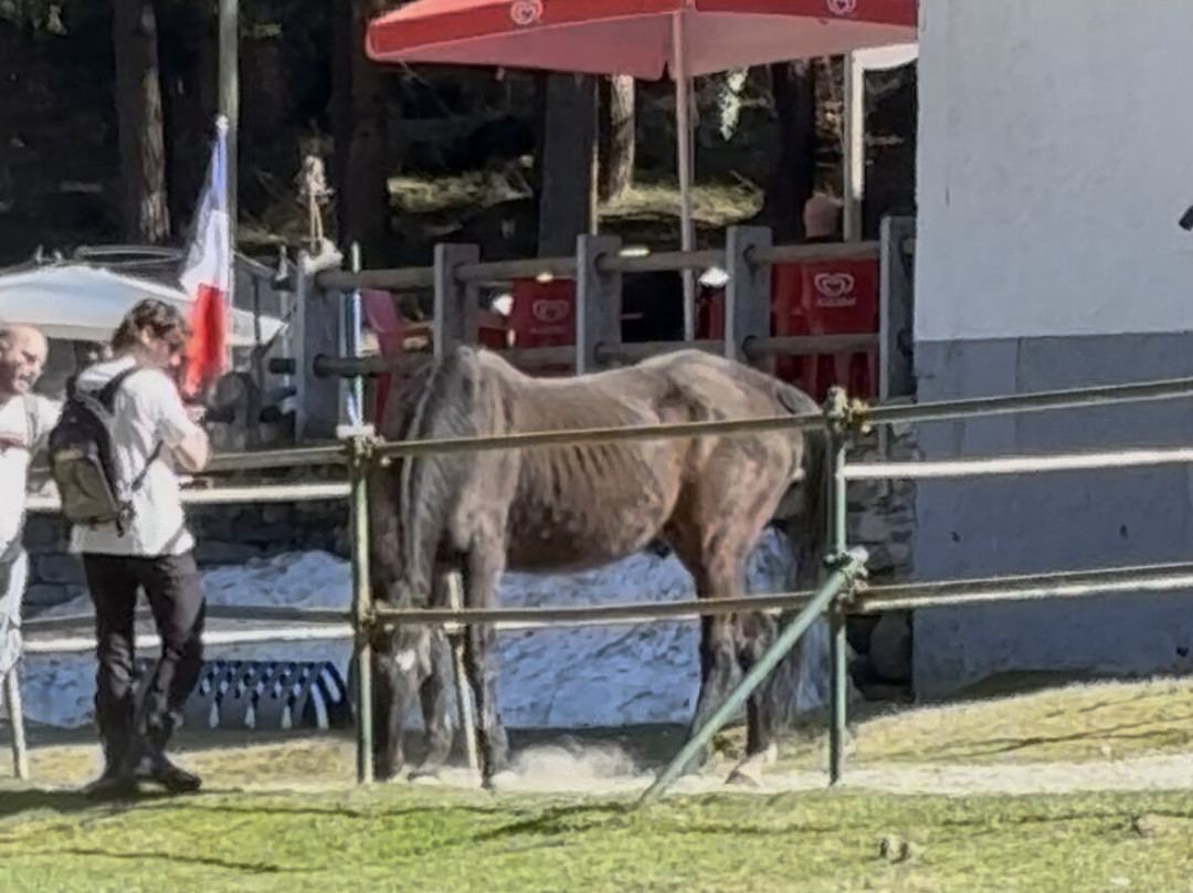Club Ippico Lo Sperone-Santa Maria Maggiore必去景点