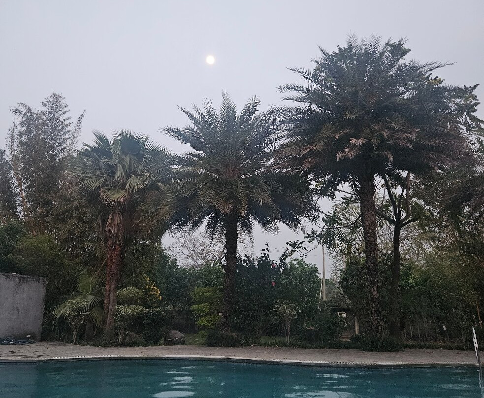 The Darien Resort主图