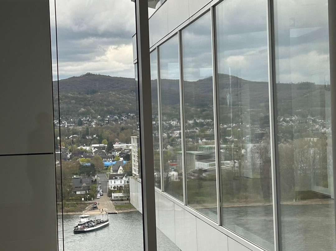 Arp Museum-雷马根必去景点