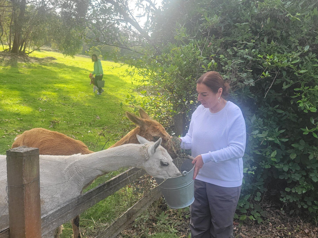 布埃斯德山麦克顿乡村住宿加早餐旅馆主图
