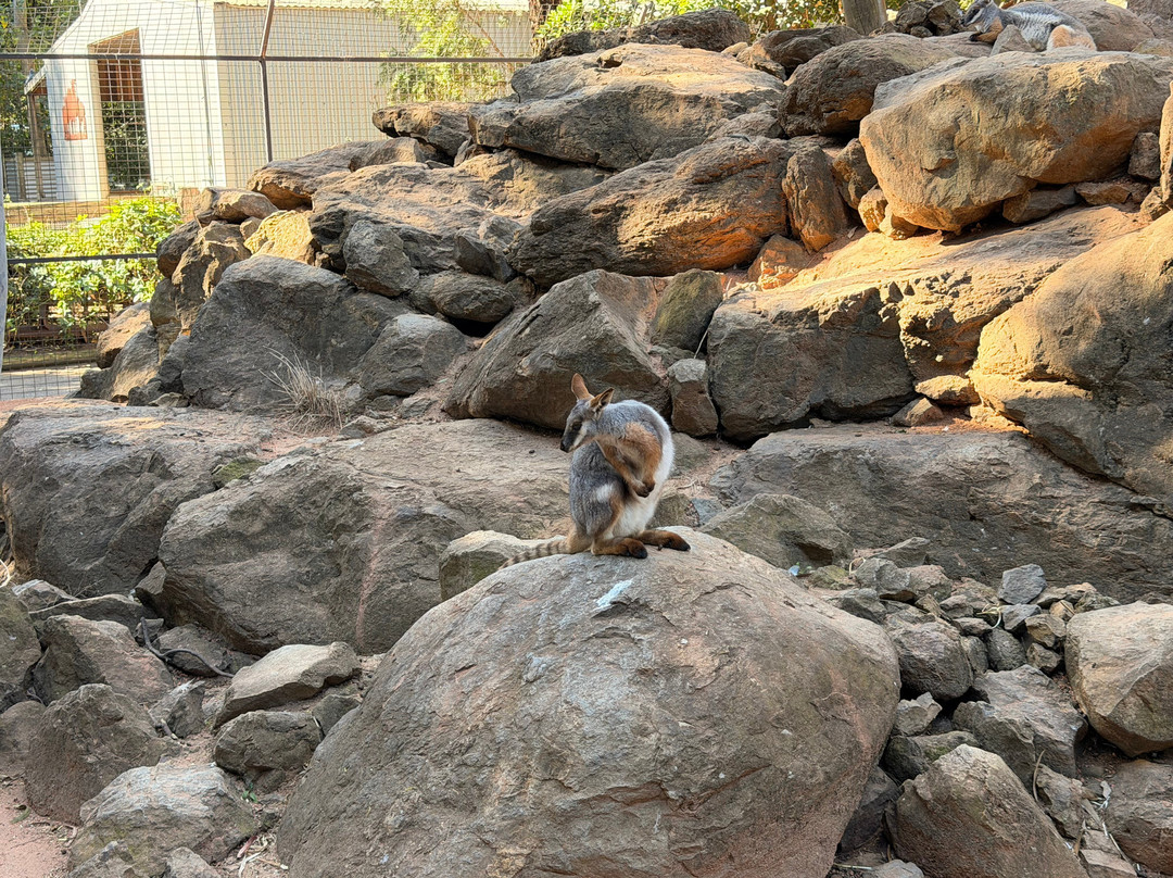 Blue Mountains Tours-格兰布鲁克必去景点