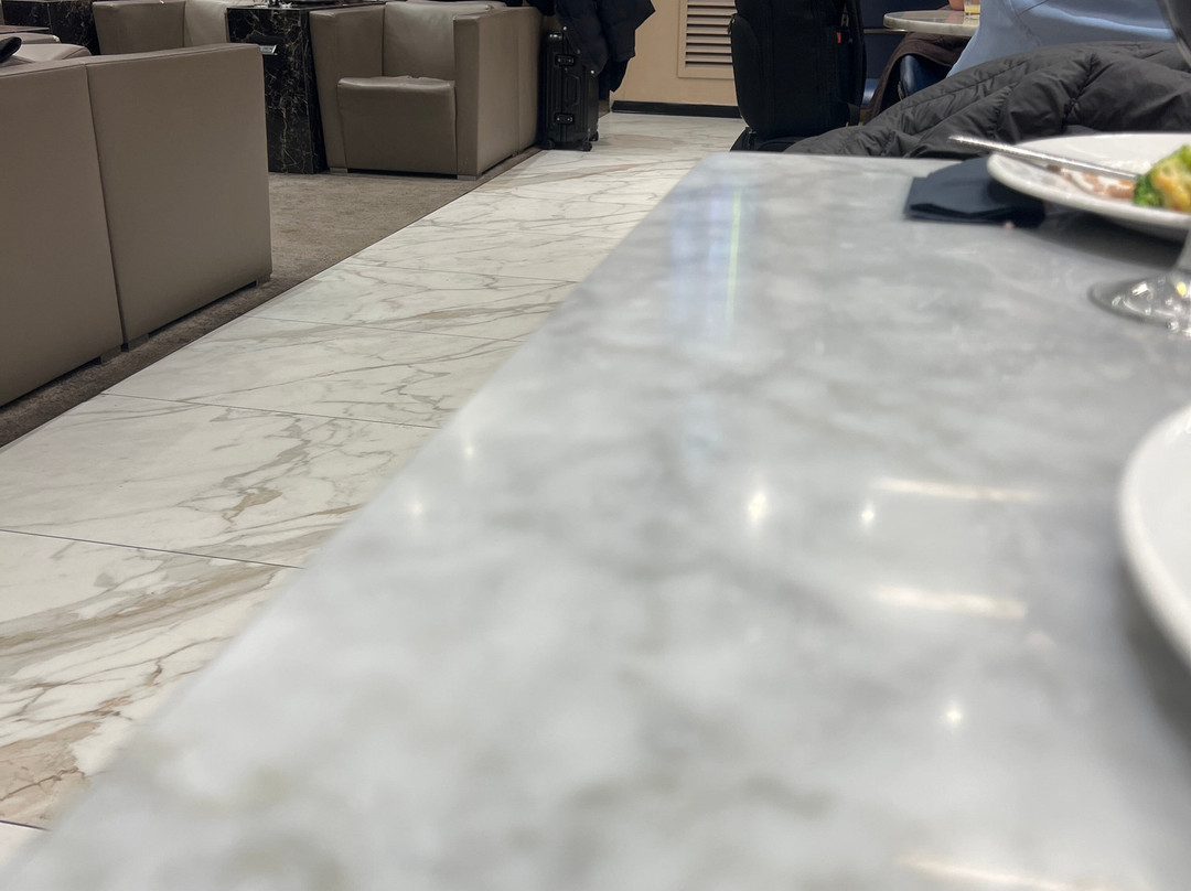 Plaza Premium Lounge (Schengen Area Departures Terminal 1)-菲乌米奇诺必去景点