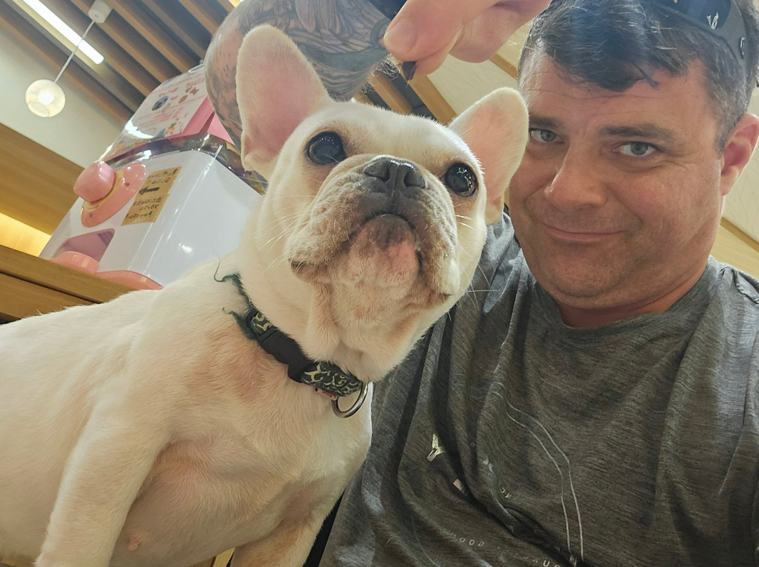 Puppy Cafe Rio Kamakura Komachidori-镰仓市必去景点