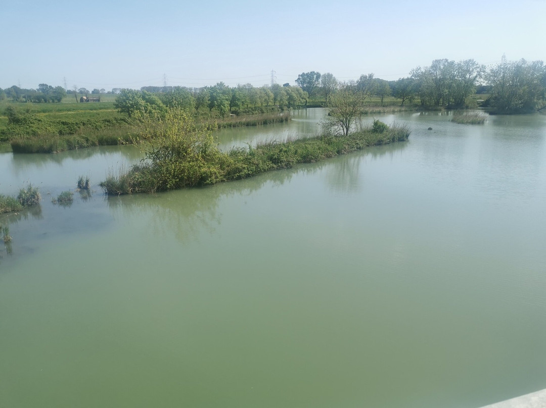 Oasi Naturale di Torre Abate-Mesola必去景点