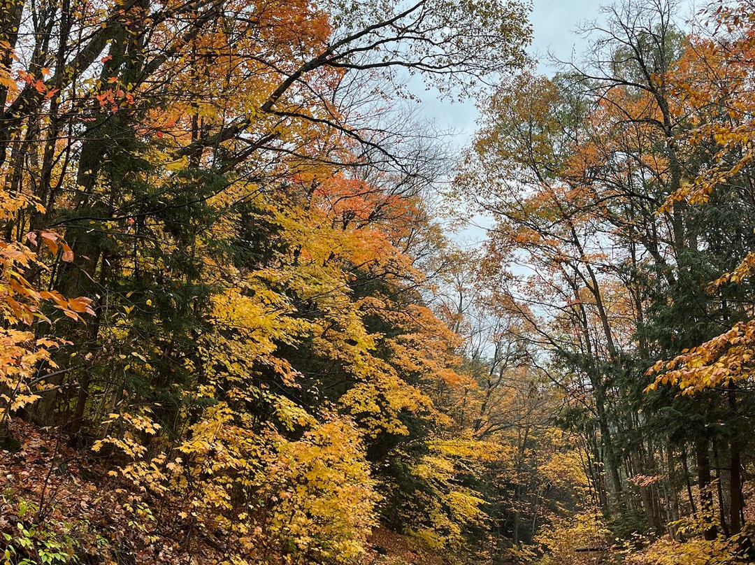 Lower Rosseau Falls-Port Carling必去景点