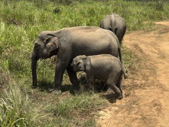 The Visit Lanka Tours-科伦坡必去景点