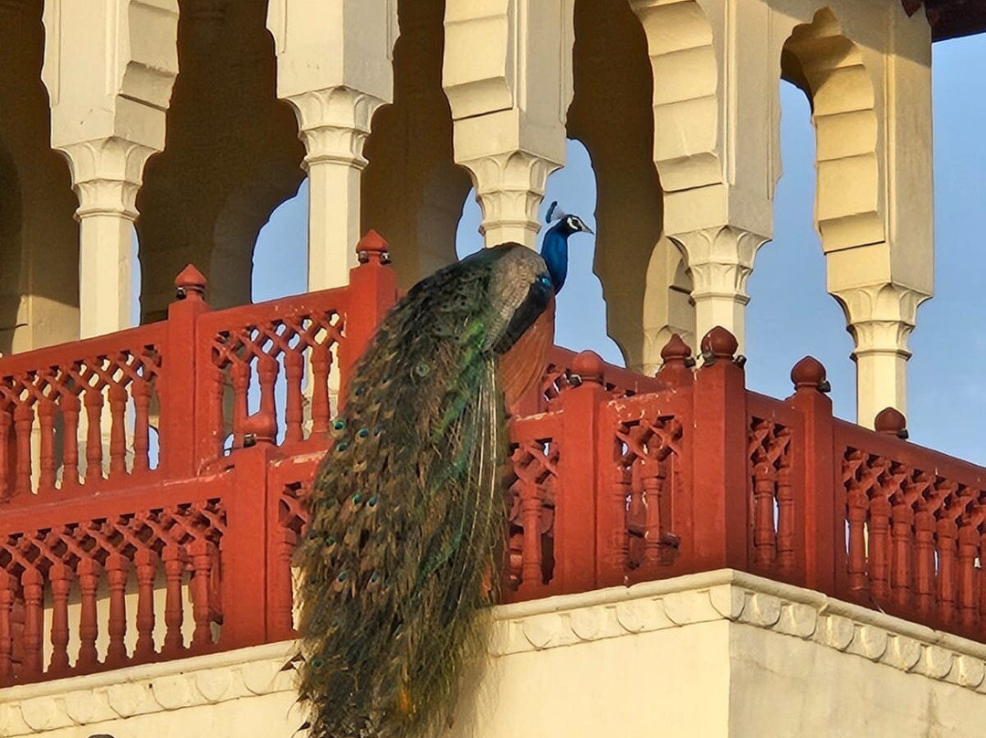 伦巴宫殿酒店主图