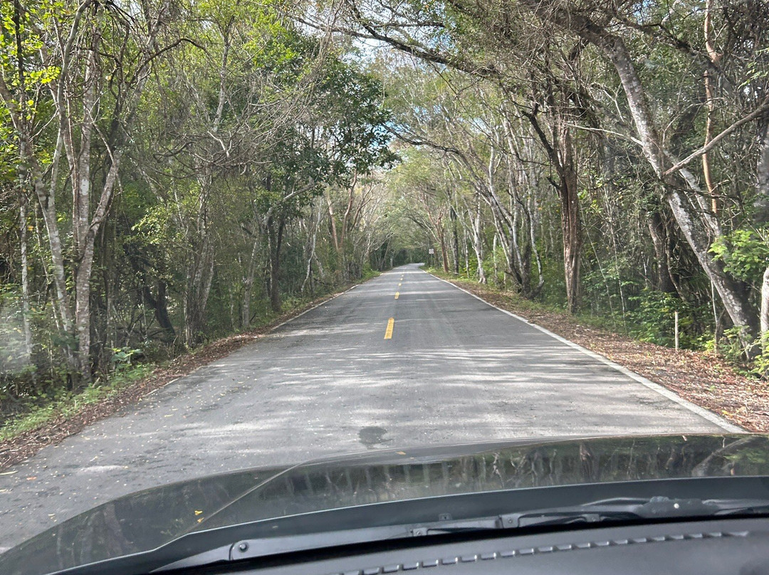 Reserva de la Biosfera de Calakmul-卡拉克穆尔必去景点