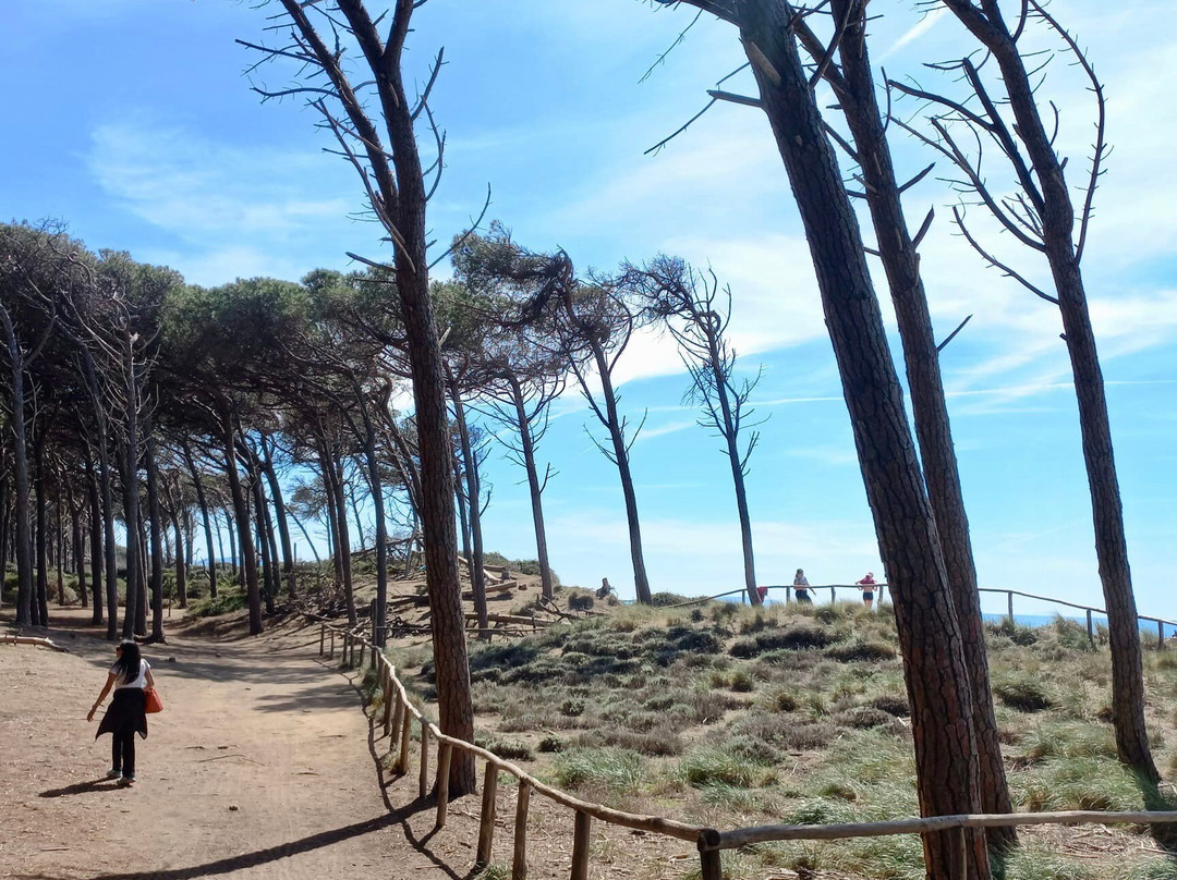Riserva Naturale Tombolo di Cecina-Marina di Cecina必去景点