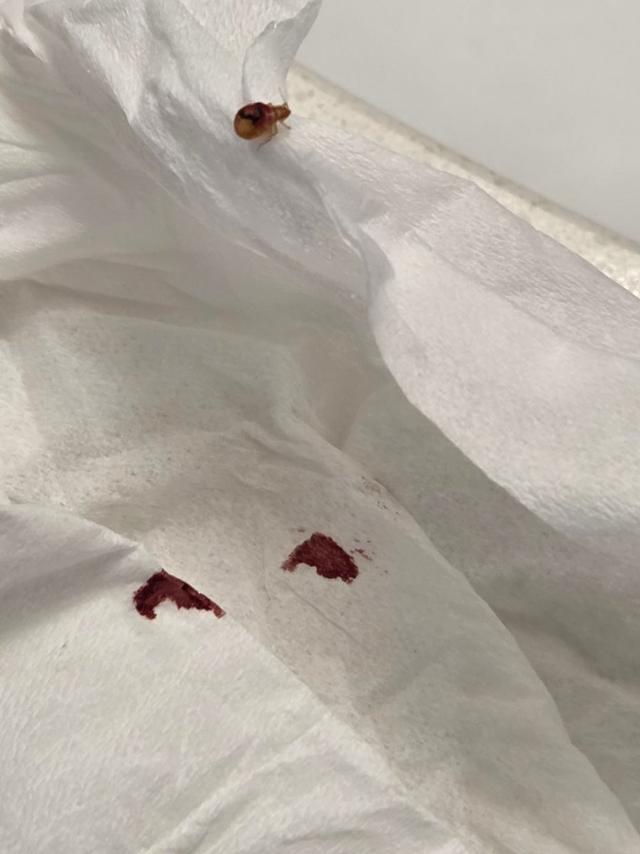 普利茅斯会议欢朋旅馆-旅行者