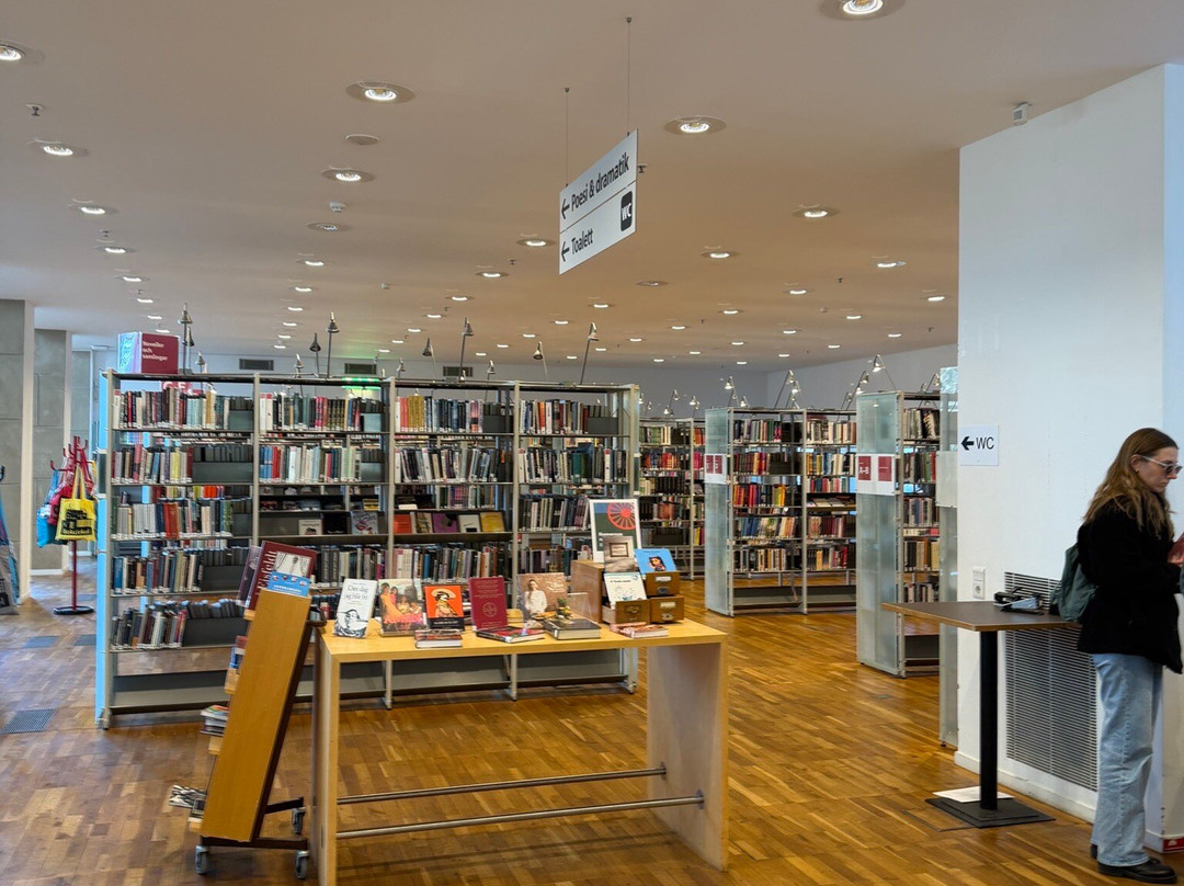 Malmo City Library-马尔默必去景点