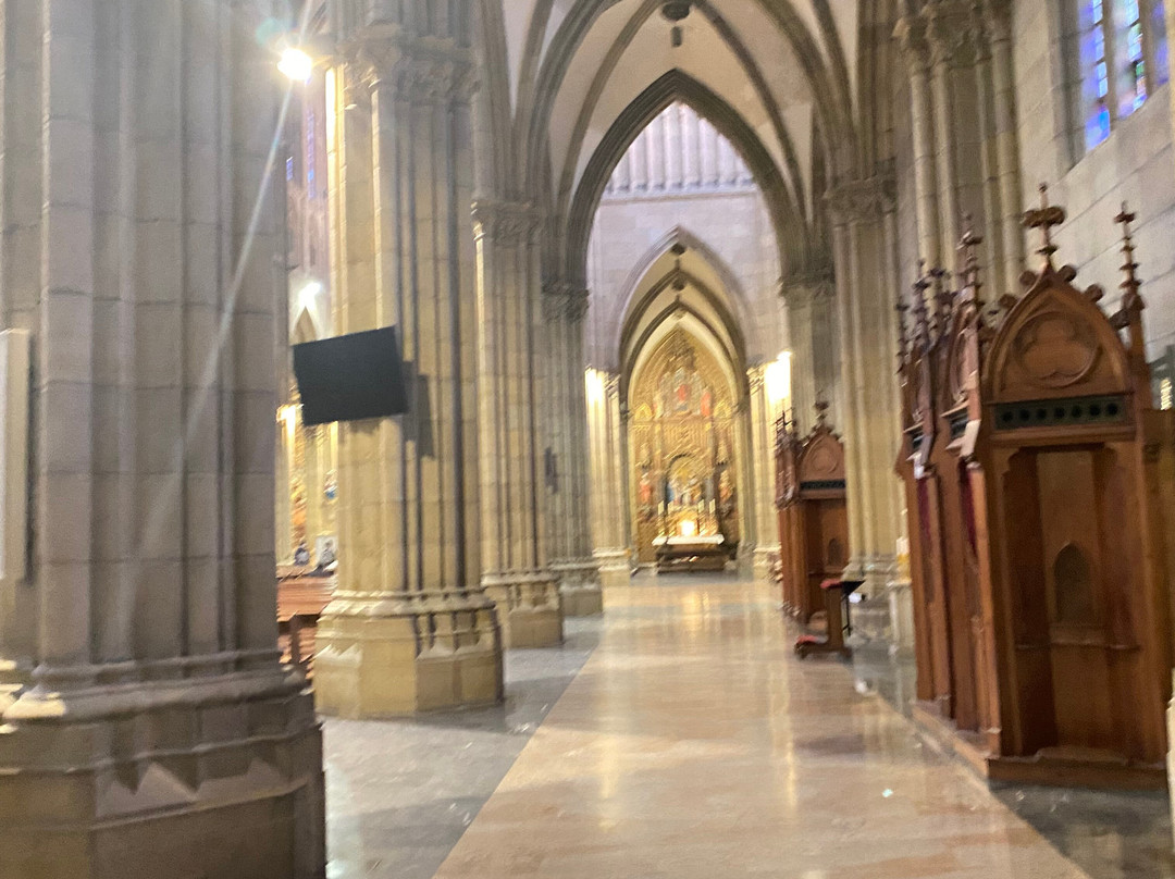 Buen Pastor Cathedral-圣塞瓦斯蒂安必去景点