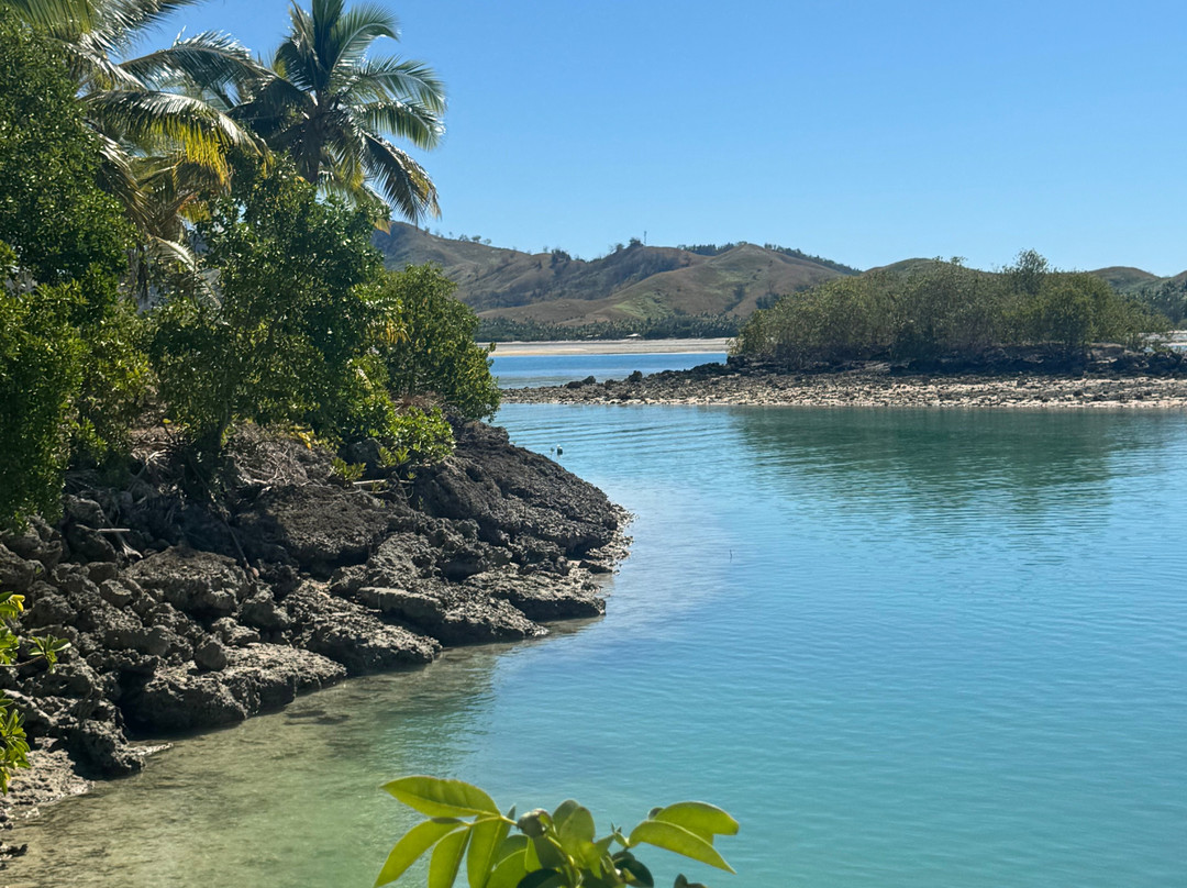 Coral Cats双体船出海一日游-丹娜努岛必去景点