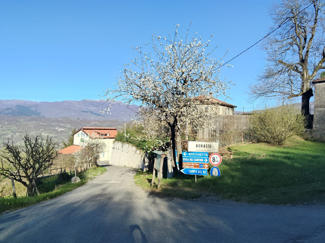 Casa Borassi