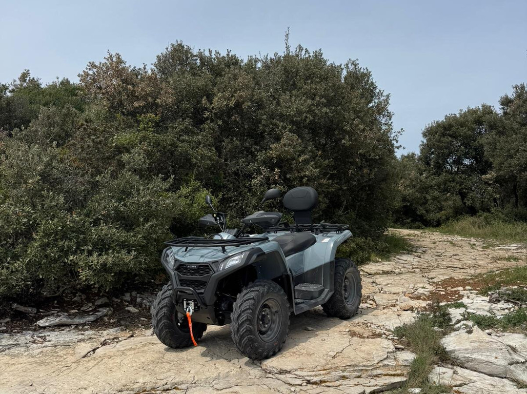Dust & Ride Istria - Quad & Bike