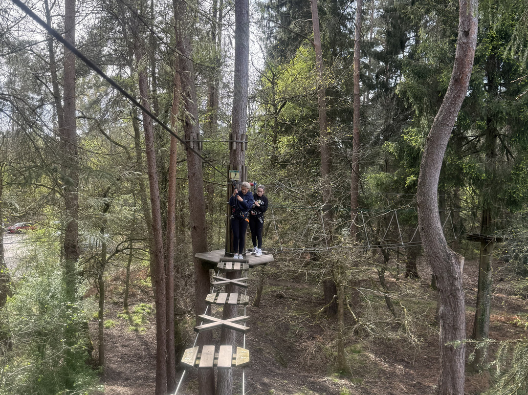 Go Ape Forest Of Dean Mallards Pike-Lydney必去景点