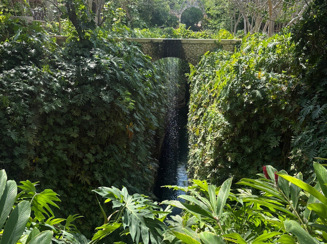 Cenotes Hacienda Mucuyche-Mucuyche必去景点
