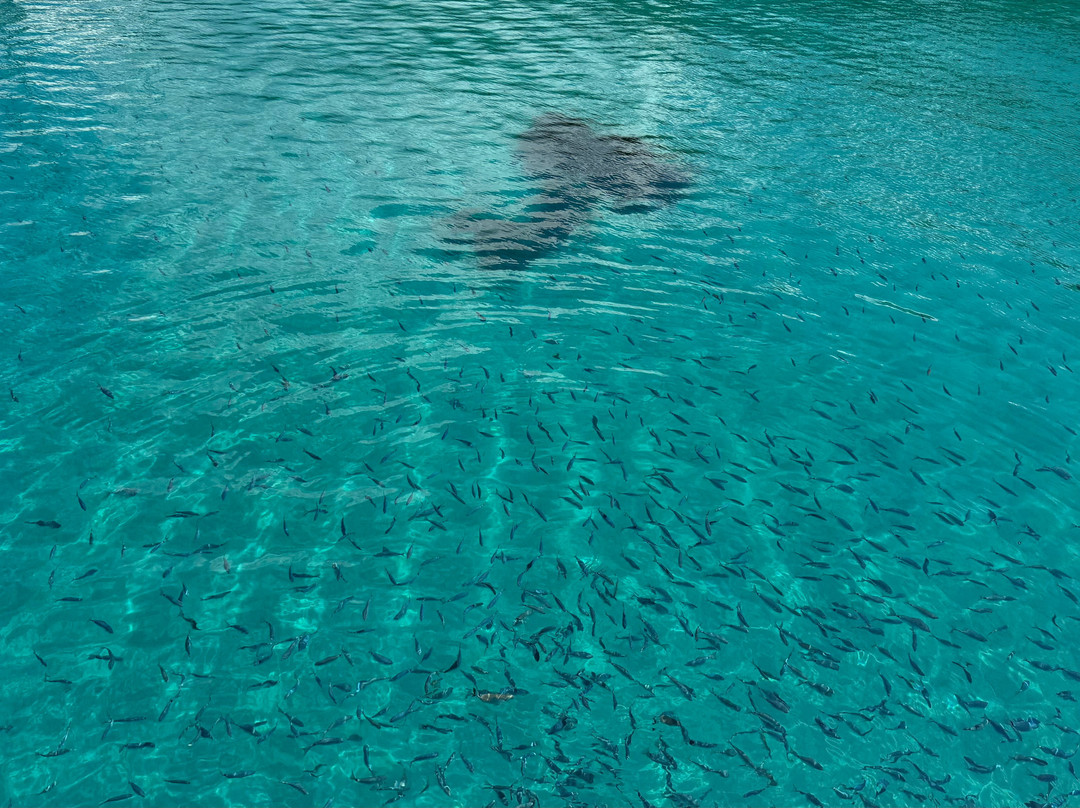 Easybook - Kostas Boat Trips-Agios Georgios必去景点