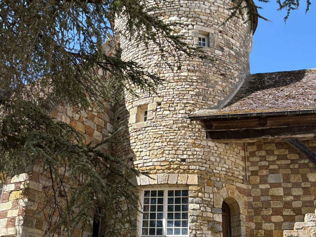 通沙泰勒城堡与城堡餐厅酒店主图