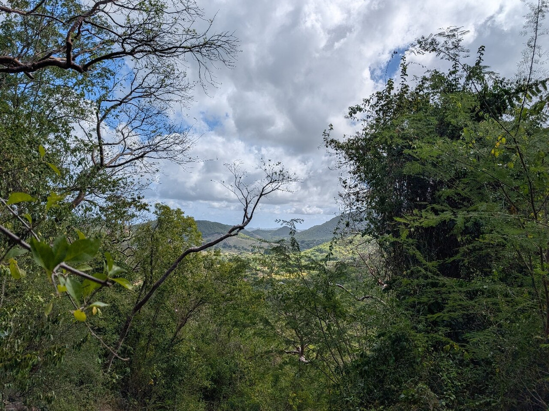 Antigua Hiking And Snorkeling Tours-圣 约翰必去景点