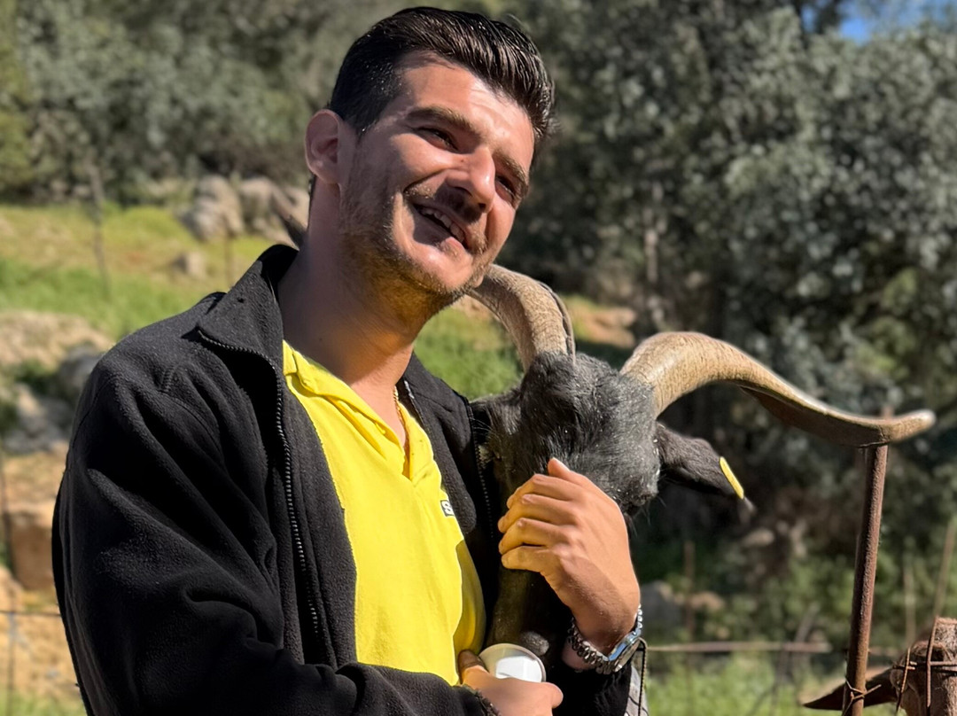 Safari Experts Crete-马利亚必去景点