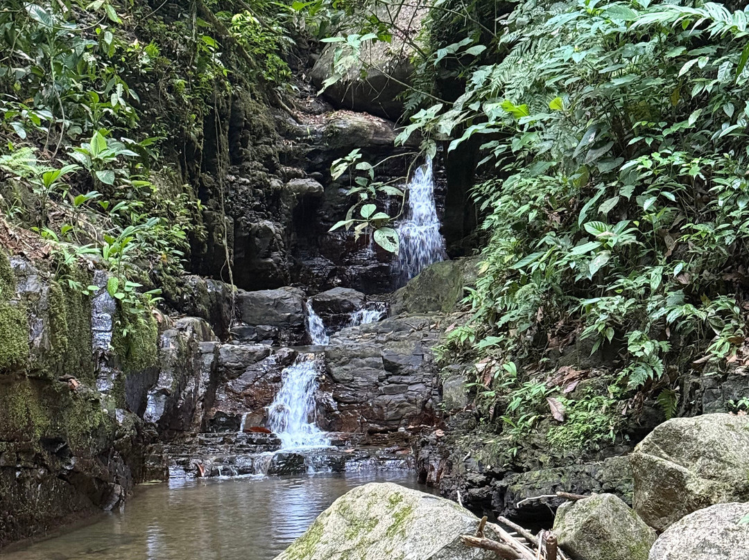 氧气丛林别墅及水疗主图