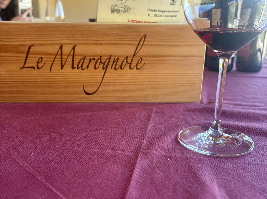 Le Marognole Azienda Agricola-Marano di Valpolicella必去景点