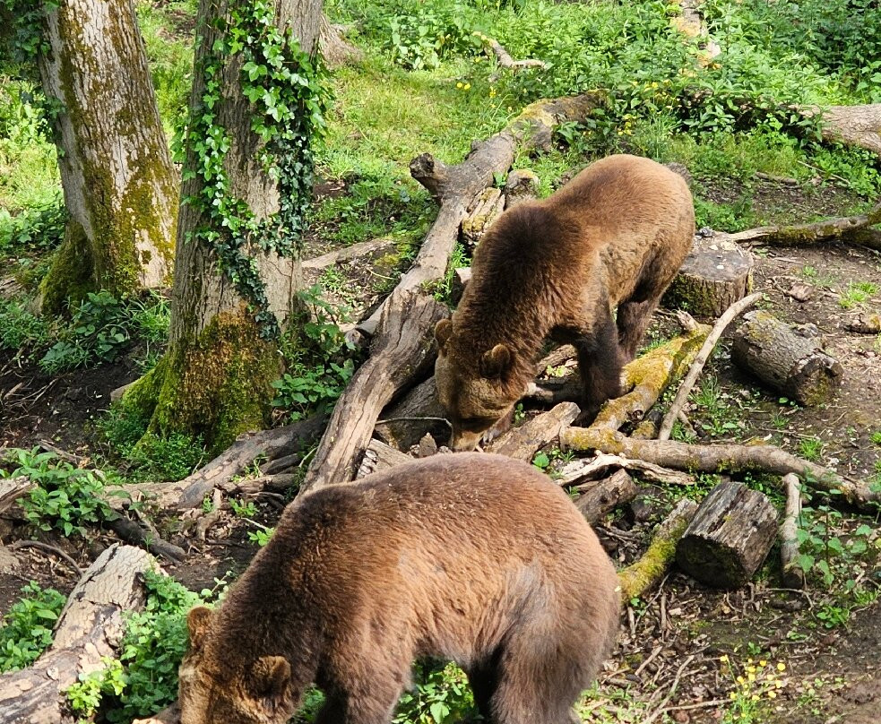 Bristol Zoo Project-Easter Compton必去景点