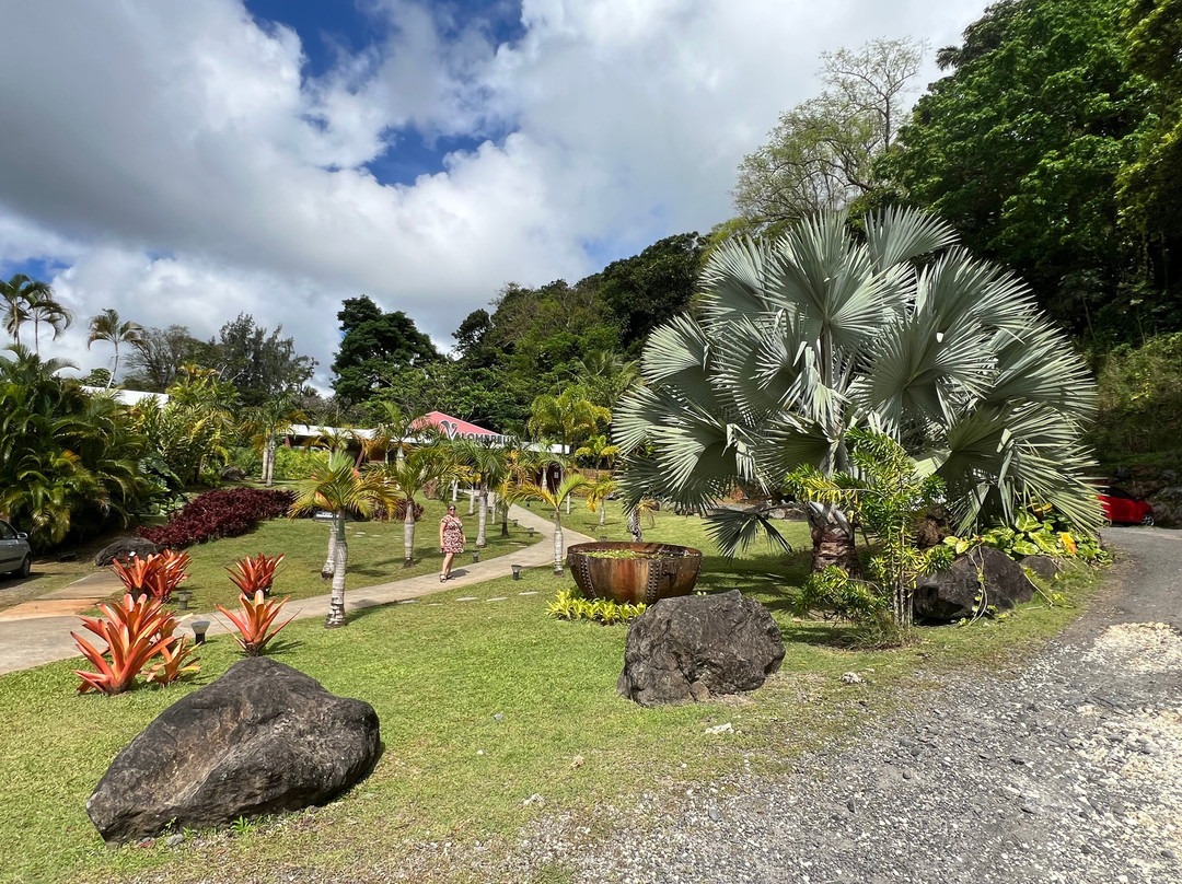 Jardin Botanique de Valombreuse-Petit-Bourg必去景点
