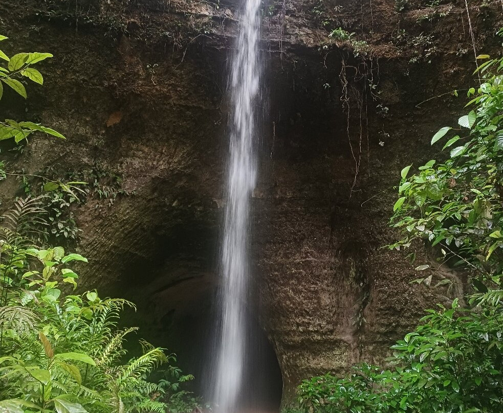 Turismo na Amazônia- Carverna do Maoraga-Presidente Figueiredo必去景点
