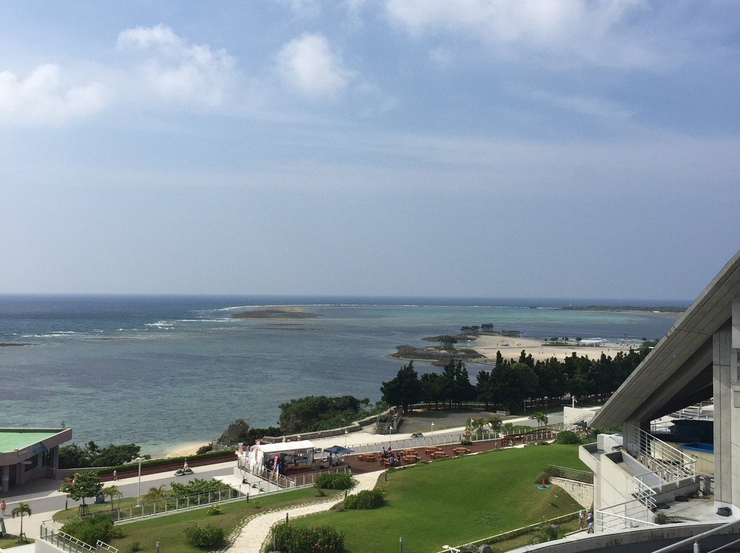 冲绳美之海水族馆-本部町必去景点