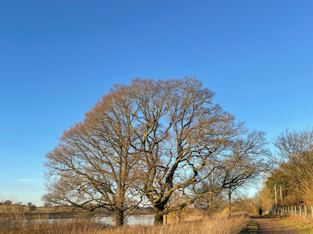 Sywell Country Park-Ecton必去景点