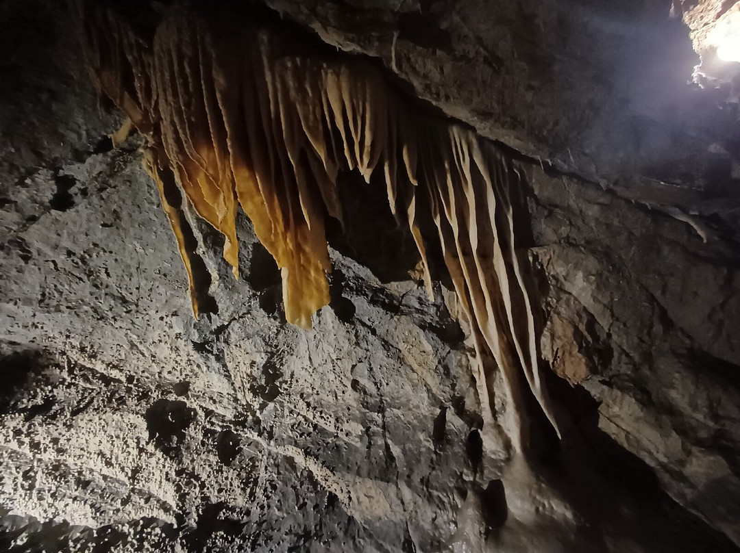 Grotta Antro del Corchia-Levigliani必去景点